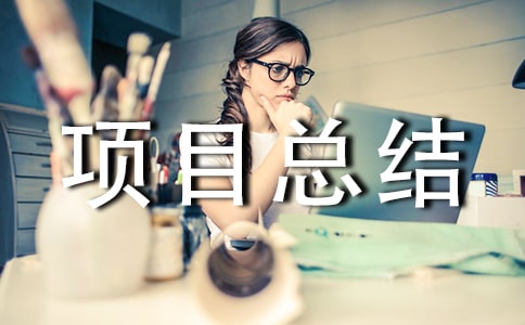 个人项目总结