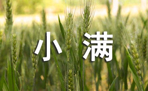 24����֮С���������ﾫѡ