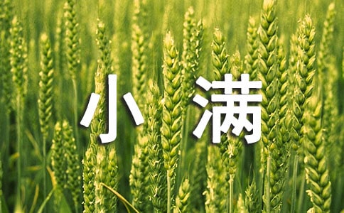 ��һѧ��С������ϰ�׵���������