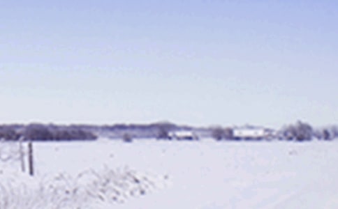 Сѩ�����Ұ�������
