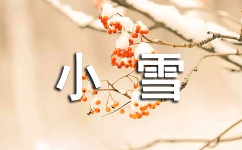 小雪小班教案范文(精选5篇)