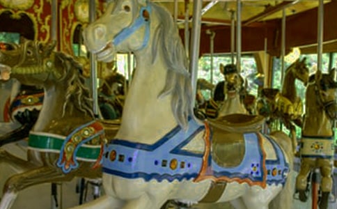��תľ��800������