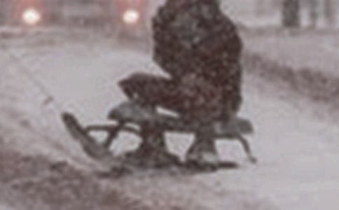 雪橇的作文