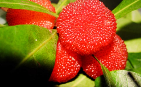 �Ұ��������÷����(5ƪ)