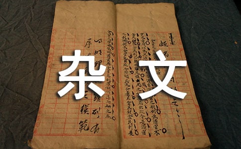 水调歌头杂文