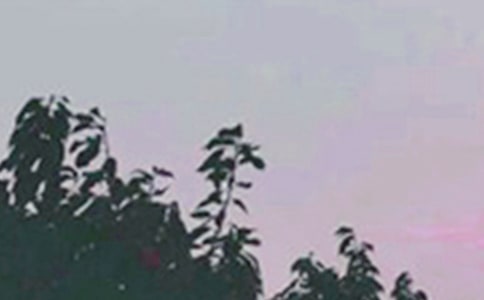 �����簲���ͨ��195�䣩
