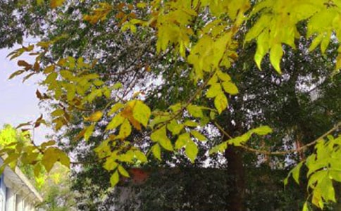 �й�����Ȧ�簲�����ȫ145��