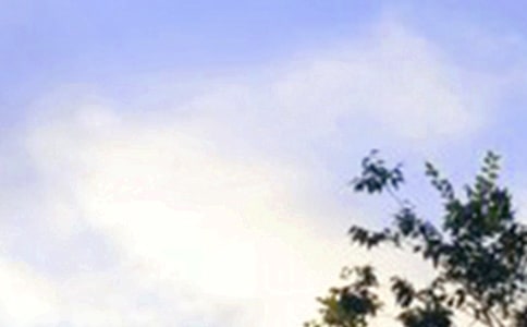 �����־�簲����185�侫ѡ