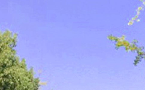 ���������°��簲�ʺ�����¼24��