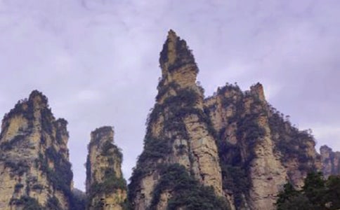 我的张家界旅行记作文