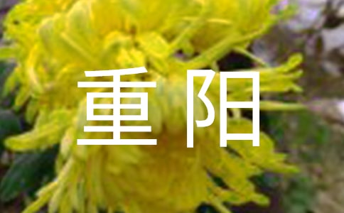 九九重阳之悠悠爱心作文