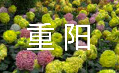 重阳忆小学作文