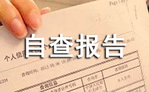 小学卫生自查报告