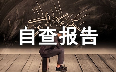 ��ҵ��ҵ��˰�Բ鱨��