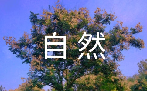 ��η��Ȼ�Ĵ������