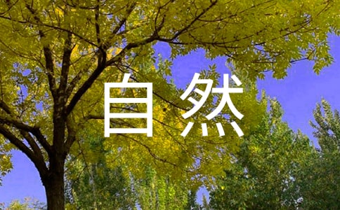 ������Ȼ�����ģ�������Ȼ