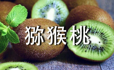家乡的猕猴桃作文(精选30篇)