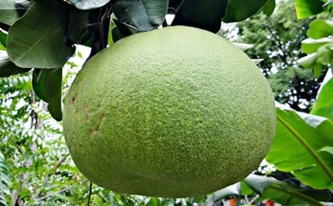 �����㣩���ӵ�����