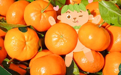 �۲����ӵ�����