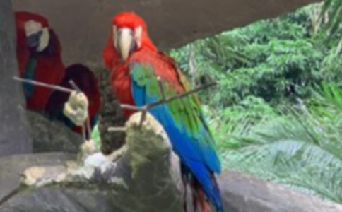 ���������Ľ���5ƪ