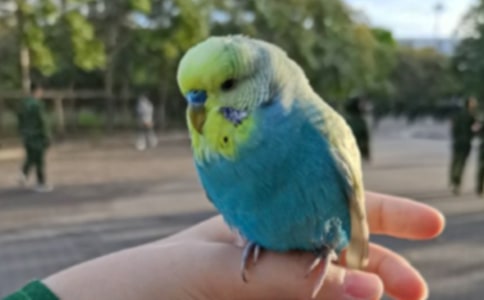 ��ѡ����������6ƪ
