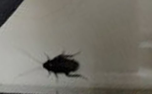 ������ͳ�һ���ģ�ͨ��10ƪ��