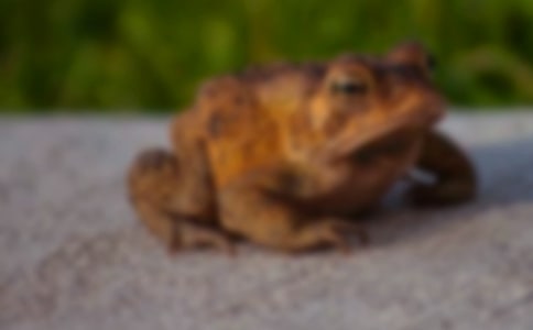 ��д��ܵĳ�������400��