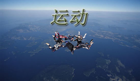 ��ѧ���ۺ��������۵��˶��뽡���������ۣ���ѡ14ƪ��