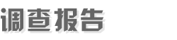 ���鱨��