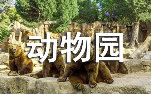 【精华】游动物园的作文5篇