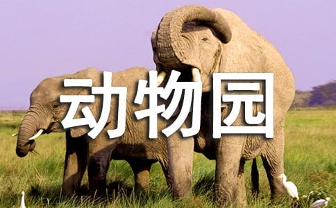 关于动物园作文300字(通用38篇)