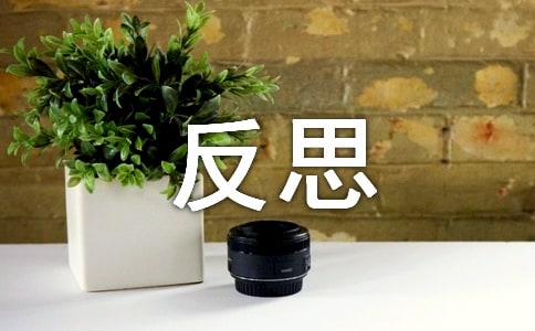【精华】写反思作文300字三篇