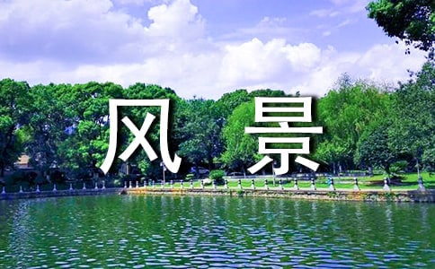 ��ѡ��д�羰������8ƪ
