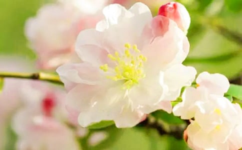 Сѧ�������ĺ��Ļ����ģ�ͨ��22ƪ��