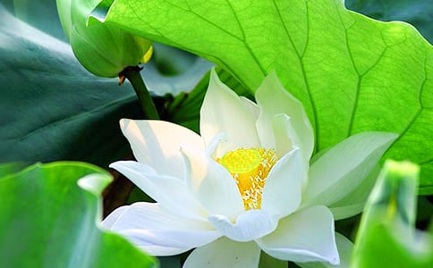 �����ͺɻ����Ľ���5ƪ