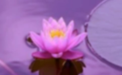 ���ں�г�����ľ�ƪ