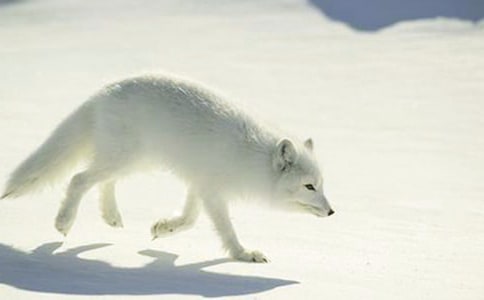 ���ر����ƻ��ĺ������Ļ��ܰ�ƪ