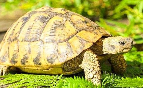 С�ڹ����ģ�����15ƪ��